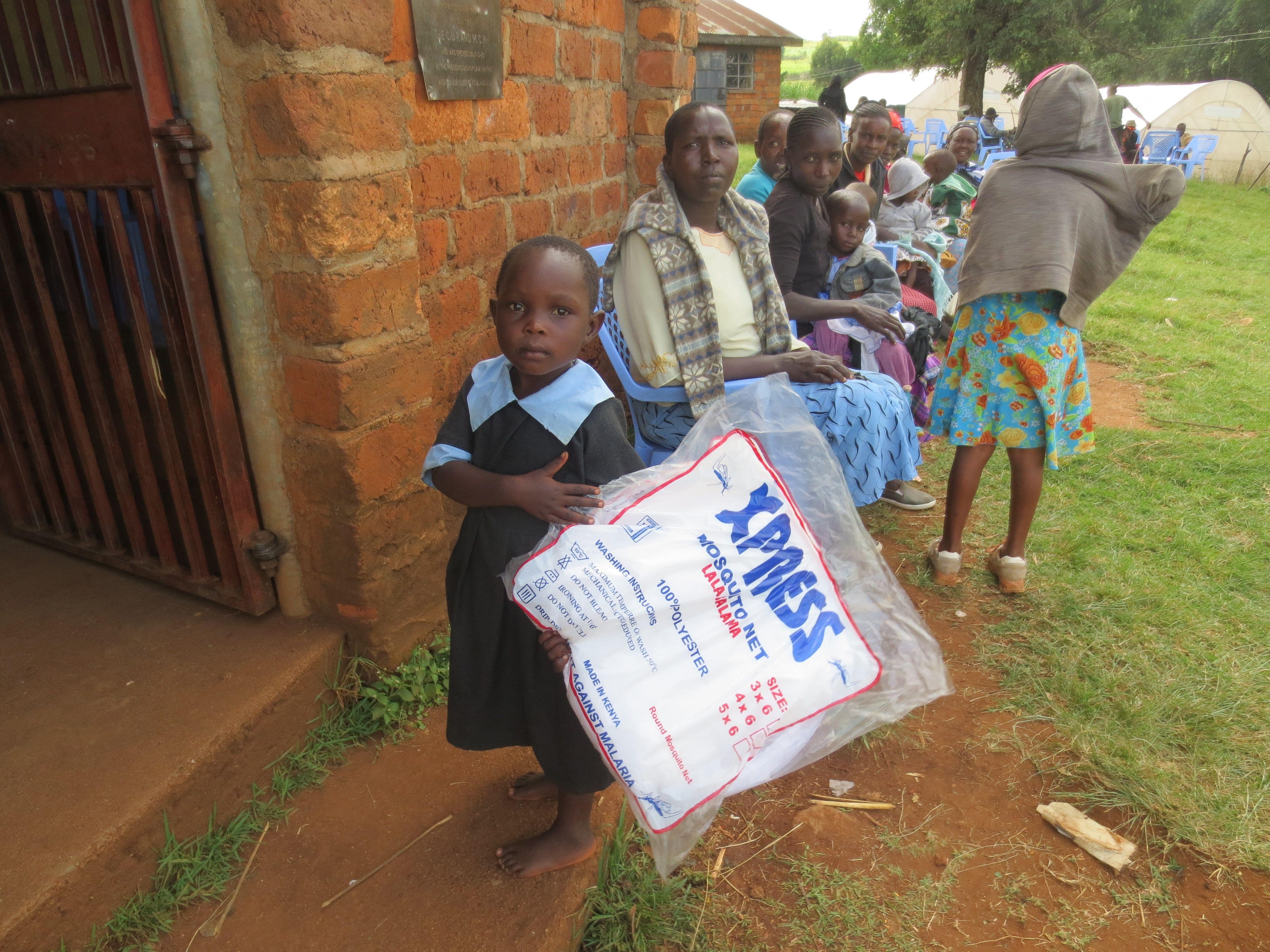 Child with a Mosquito Net